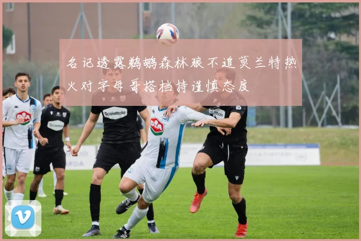 名记透露鹈鹕森林狼不追莫兰特热火对字母哥搭档持谨慎态度
