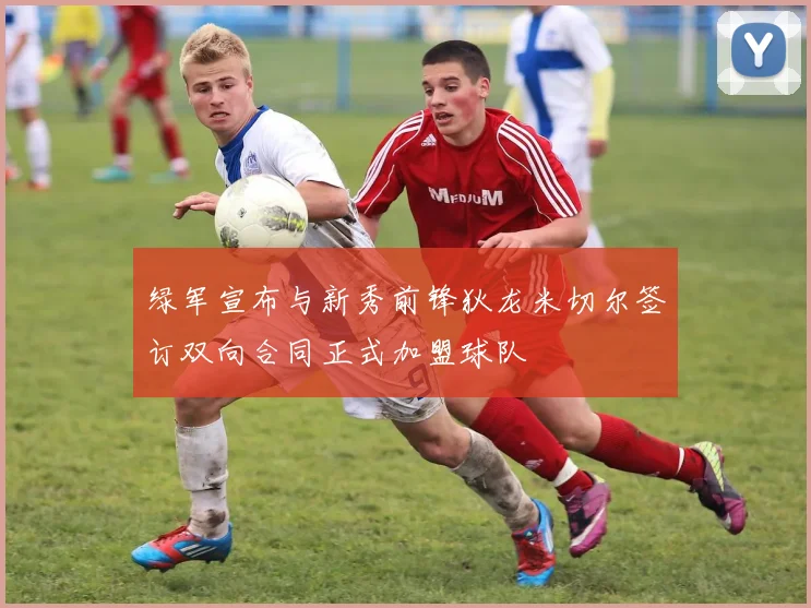 绿军宣布与新秀前锋狄龙米切尔签订双向合同正式加盟球队